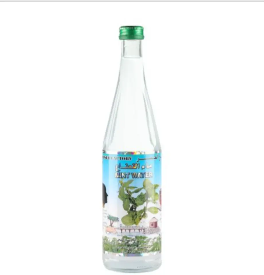 Al jaser Mint water 565ml