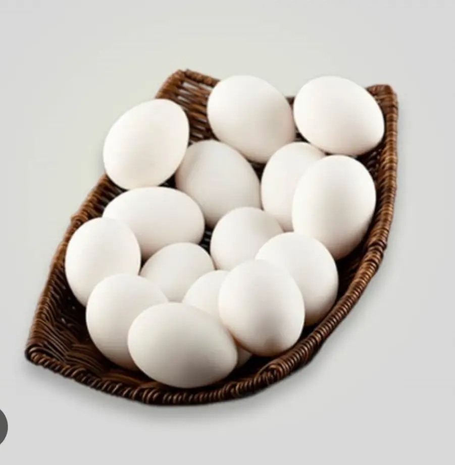 Bahrain egg 1pcs 