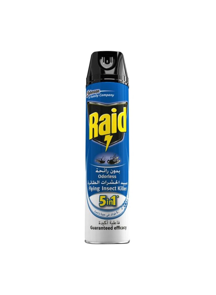 Raid Flying Insect Killer 300ml 