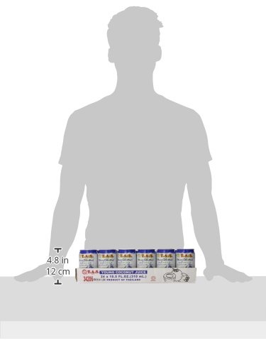 Young Coconut Juice W/Pulp 310ml 