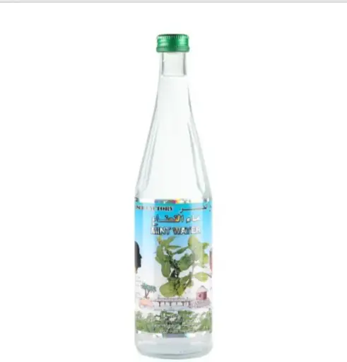 Al jaser Mint water 565ml