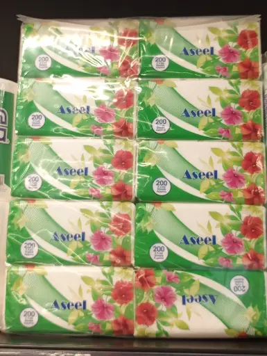 ASEEL TISSUE 200x2plyx10