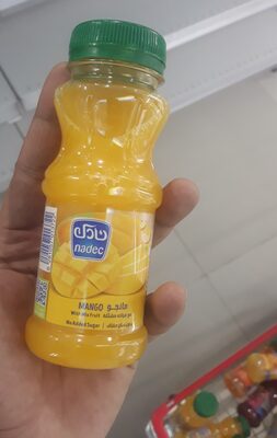 Nadec Nectar Mango 180ml